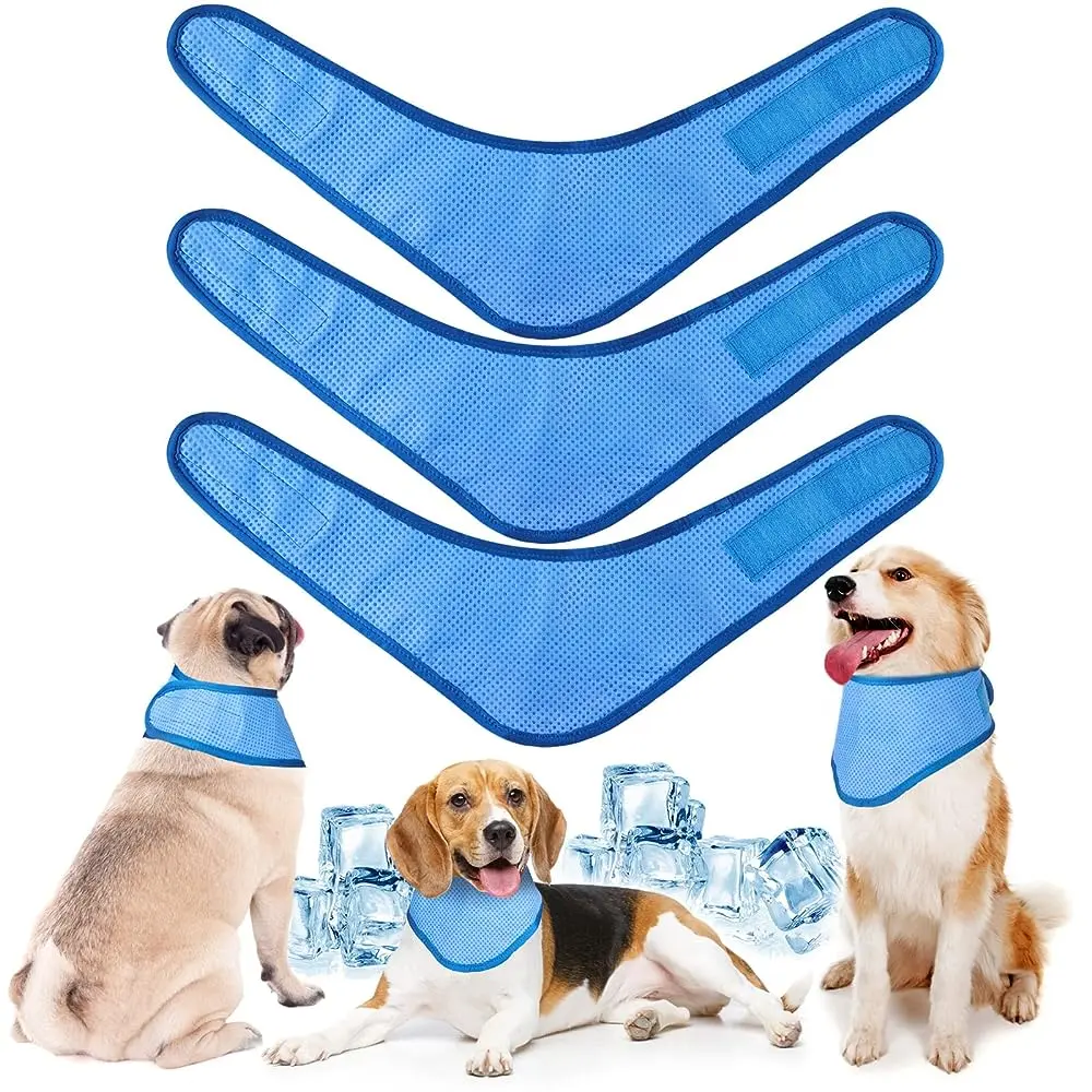 Beat the Heat: An Investigative Analysis of Canine Thermoregulation and the Best Dog Cooling Bandanas