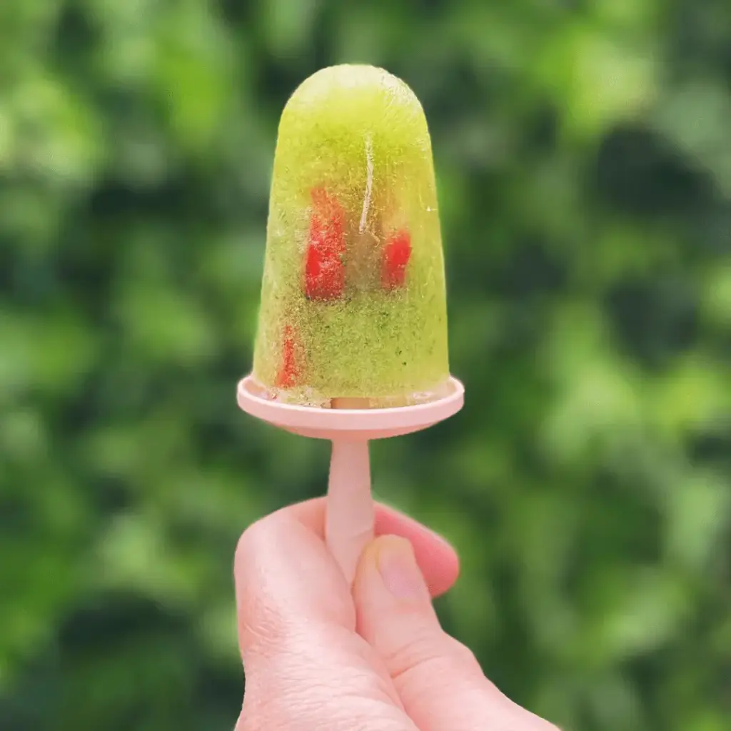 Beating the Heat: Veterinary-Approved Pupsicle Recipes and Canine Summer Safety Strategies