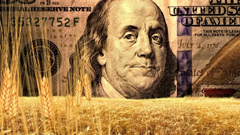 Beyond the Bandaid: Why American Agriculture is Demanding a Structural Overhaul
