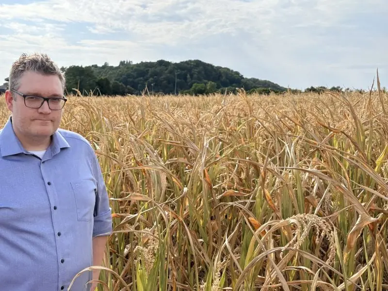 Climate-Proofing the Harvest: Computomics Secures €6.3M Series B to Scale AI-Driven Crop Breeding Amid Escalating European Droughts