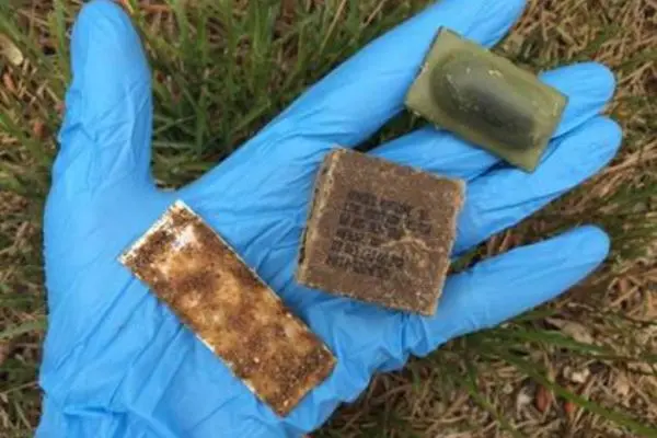 Operation Barrier Drop: USDA and Maine Health Officials Deploy Nearly 600,000 Oral Rabies Vaccine Baits Across Aroostook County
