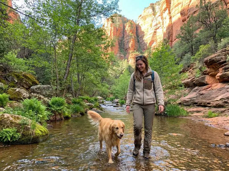 Paws Across the Southwest: The Definitive Guide to Dog-Friendly Spring Escapes and Canine Travel Gear