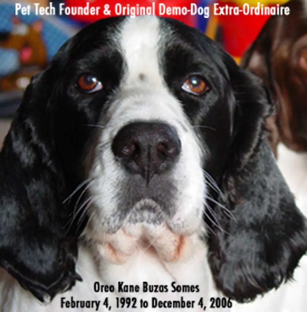 Paws, Purpose, and Perseverance: The Untold Story of Oreo and the Humble Origins of Pet Tech