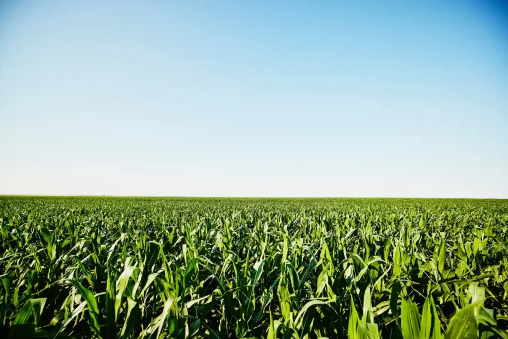 Redefining Climate Resilience: Elicit Plant Wins ‘Climate Adaptation Solution of the Year’ at the 2026 AgTech Breakthrough Awards