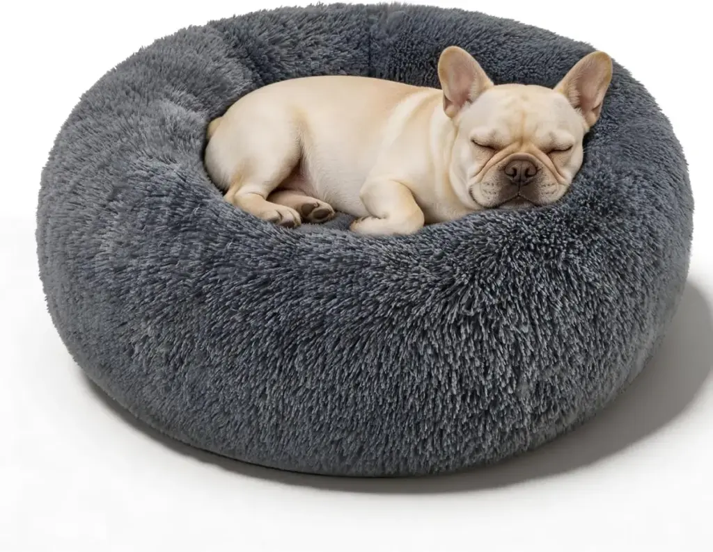 The Architecture of Canine Comfort: An Investigative Analysis of the Best Small Dog Beds