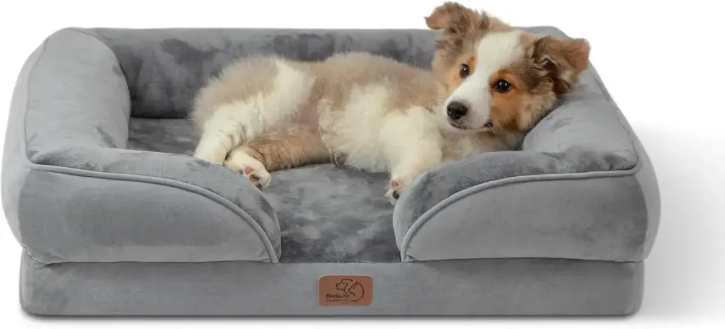 The Ergonomic Imperative: An Investigative Guide to the Best Dog Beds for Whippets