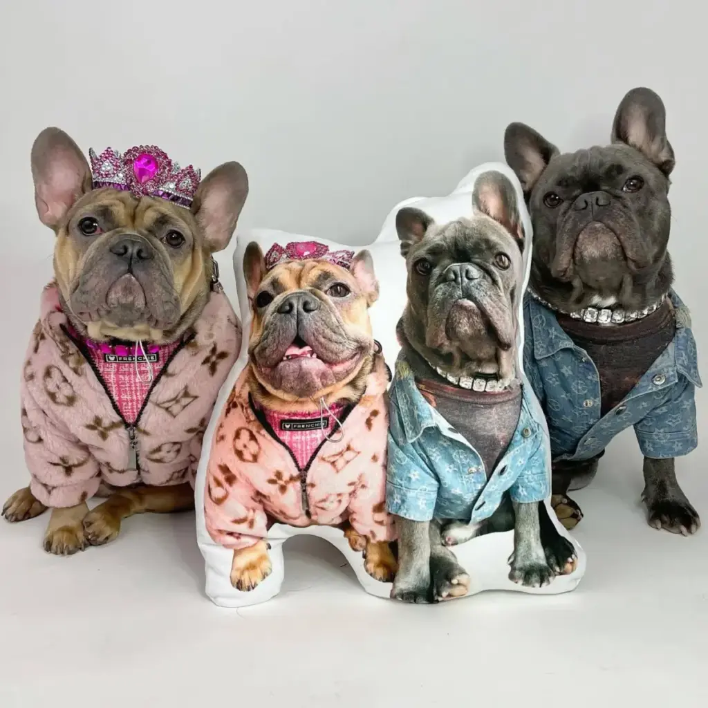 The Evolution of the Modern Pet Economy: An Investigative Analysis of the 50 Ultimate Mother’s Day Gifts for Dog Moms