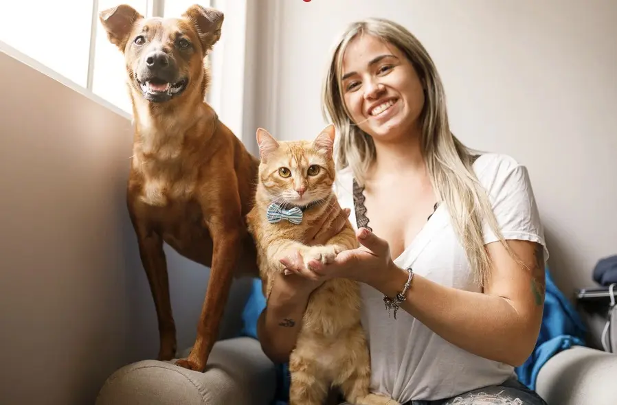 The Evolving Veterinary Practice: Mastering the Business of Modern Animal Healthcare