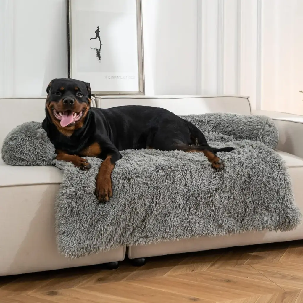 The Integration of Canine Comfort and Interior Design: An In-Depth Investigation into the Rise of Hidden Dog Beds