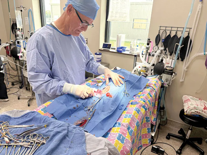 The Rising Cost of Compassion: How Economic Pressures are Reshaping American Pet Care