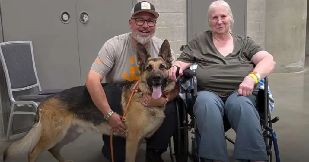 The Sentinel of Spokane: How a Loyal German Shepherd Saved His Owner From a Fast-Moving Wildfire and the Community That Rallied in the Aftermath