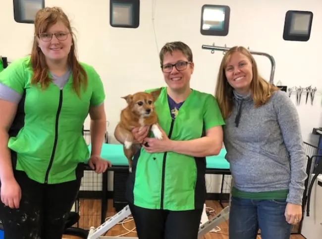 When Seconds Count: How Professional Pet CPR Training Saved "Max" the Dog in a High-Stakes Grooming Emergency