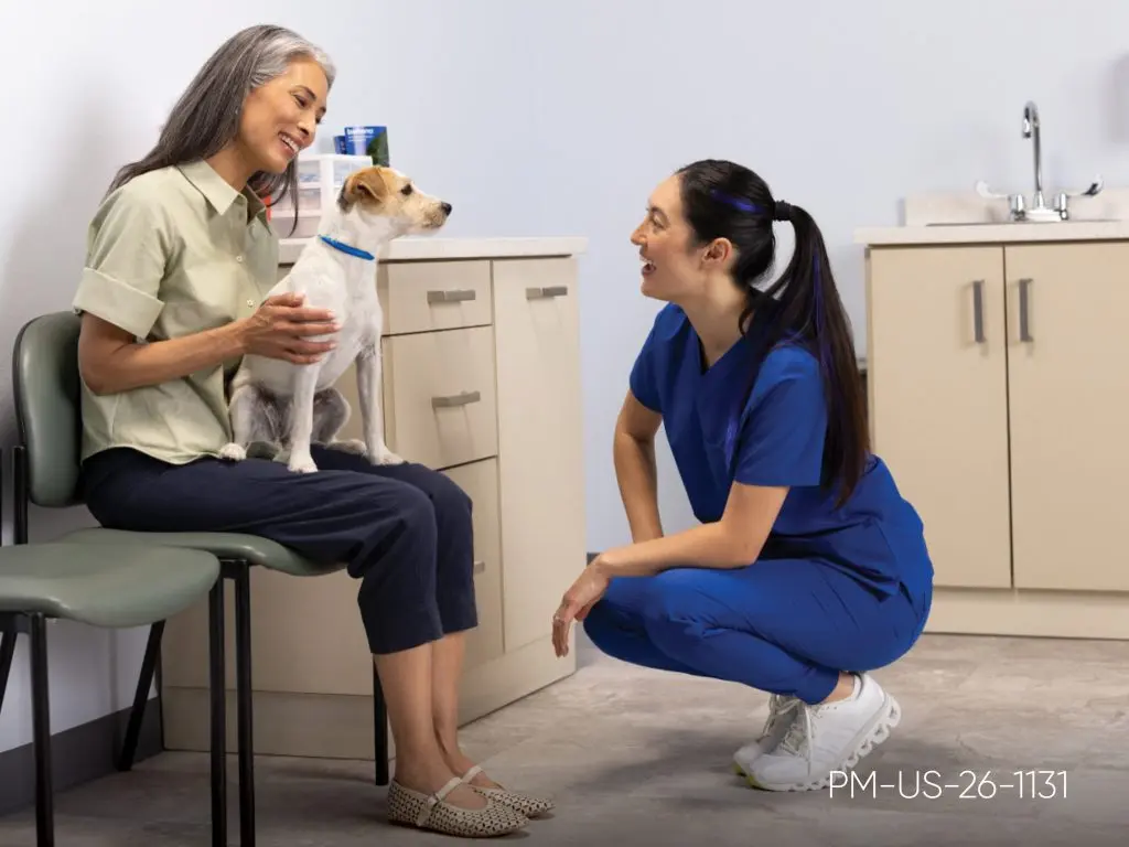 Advancing Canine Care: The Intersection of AI Diagnostics, Modern Analgesia, and Anti-Inflammatory Therapeutics in Veterinary Medicine