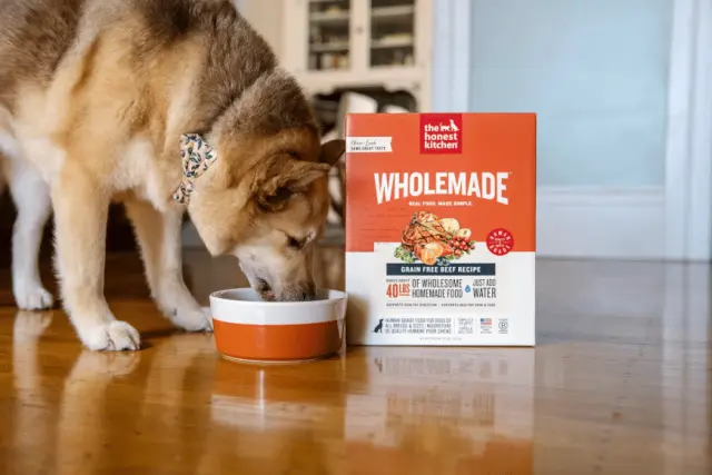 Battle of the Human-Grade Dehydrated Dog Foods: An Investigative Comparison of The Honest Kitchen Wholemade and The Farmer’s Dog Instant Fresh