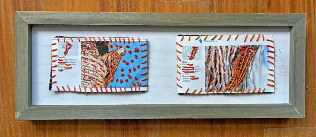 Breathing New Life into Paper: The Rise of Field Guide Upcycling and Literary Needlework