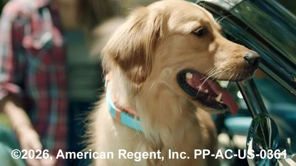 Canine Osteoarthritis: Redefining Early Detection and Elevating Client Communication Across All Life Stages