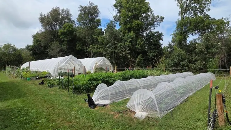 Cultivating the Driftless: How Polsgrove Hill Farm is Reshaping Local Food Systems in Northwest Illinois