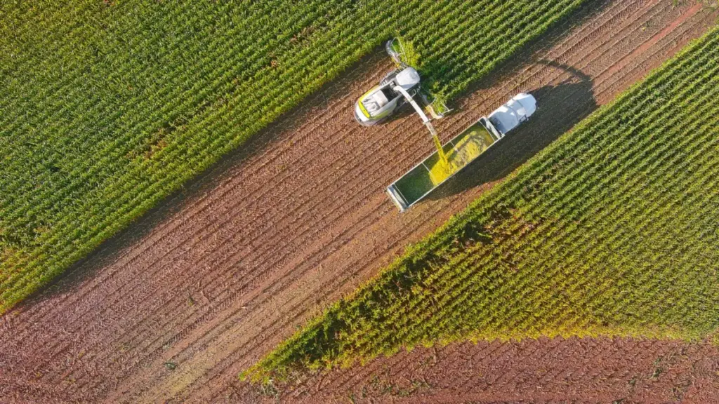 Cultivating the Future: Vylor and Rainbow Crops Pioneer AI-Driven Climate-Resilient Corn