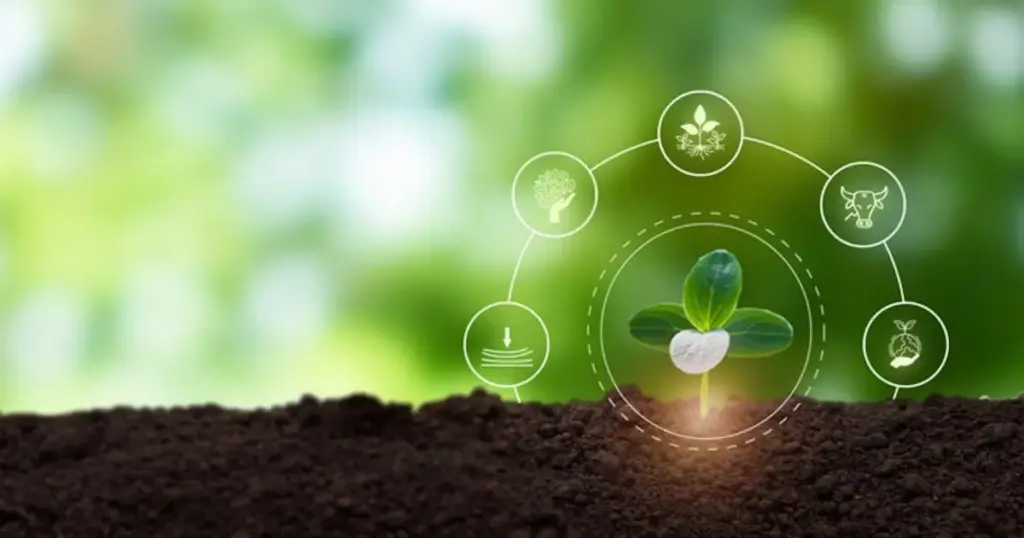 Decoding the Underground Shield: How Japanese Researchers Unlocked the Secrets of Naturally Disease-Suppressive Soils