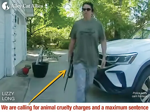 Demanding Justice, Driving Accountability: Inside Alley Cat Allies’ Nationwide Anti-Cruelty Campaign