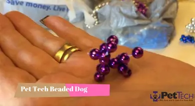 Engaging the Next Generation of Pet Advocates: The Ingenious Origin and Impact of the Pet Tech Beaded Dog