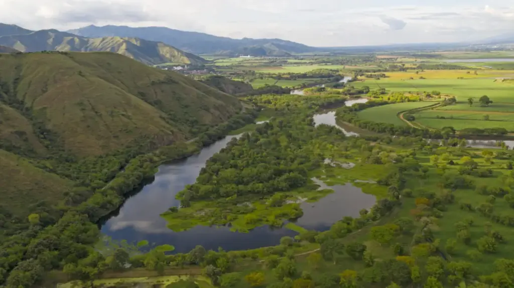 Executive Overview: The Cauca Valley Blueprint and the Architecture of Connected Conservation