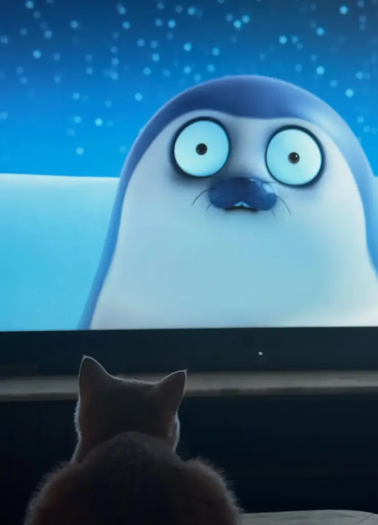 Feline Cinematic Obsession: How the Animated Series Sealook Captured the Internet’s Cats—and the Science Behind It
