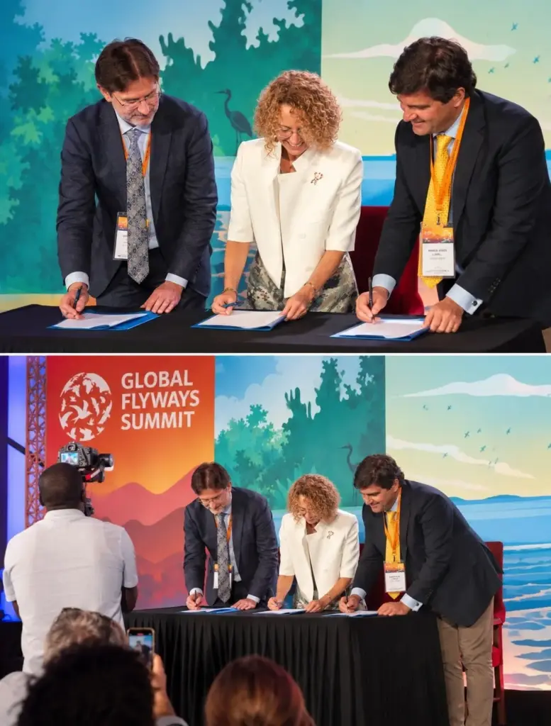 Financing Flight: How a New Scientific Framework Aims to Save the Americas’ Migratory Birds and Reshape Sustainable Development