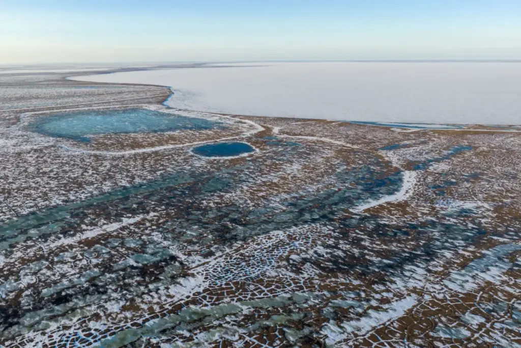 Focusing on the Vanishing Tundra: Conservation Photographer Gerrit Vyn Fights to Save Alaska’s Teshekpuk Lake