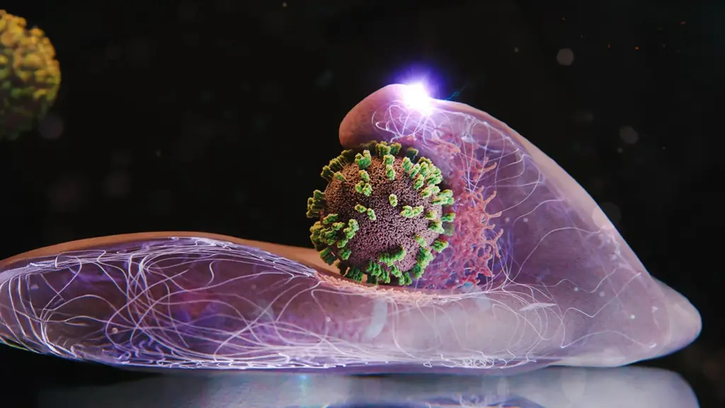 Inside the Cellular Ballet: Breakthrough Imaging Reveals How Influenza Hijacks Human Cells