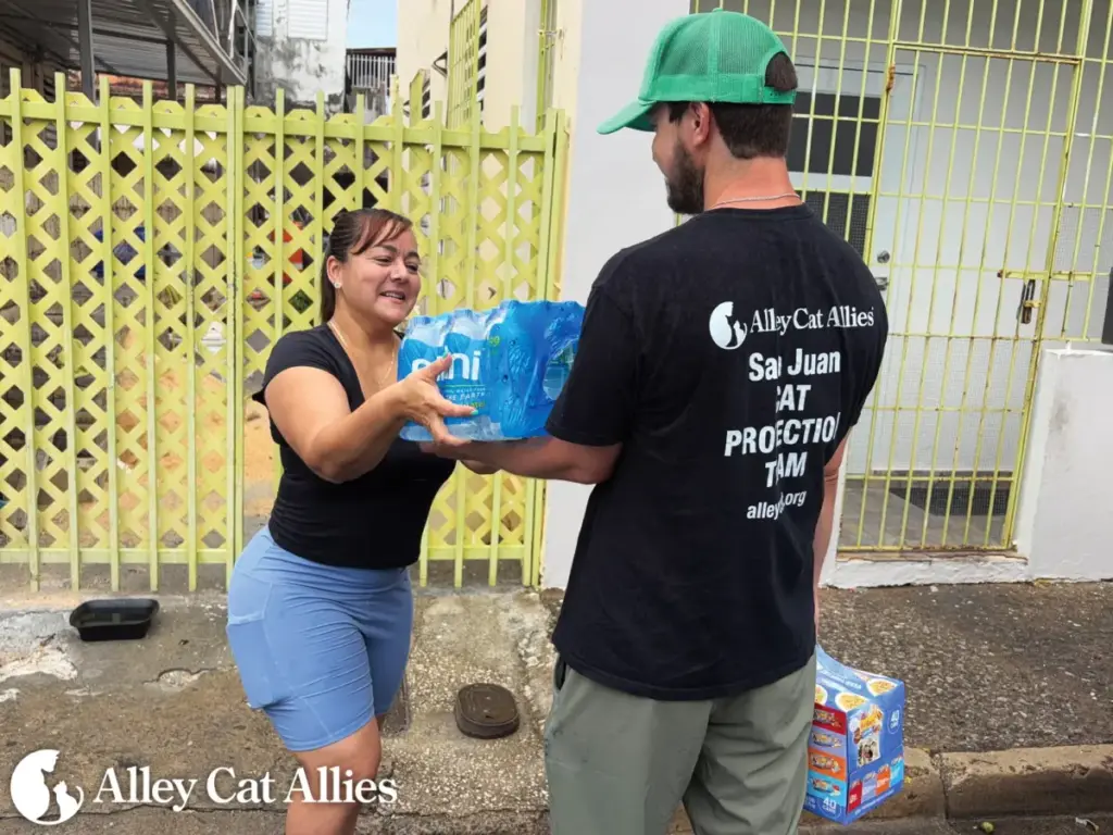 Lifesaving Intervention in the Tropics: Alley Cat Allies and Save A Gato Mobilize Emergency Relief Amid San Juan’s Severe Water Crisis
