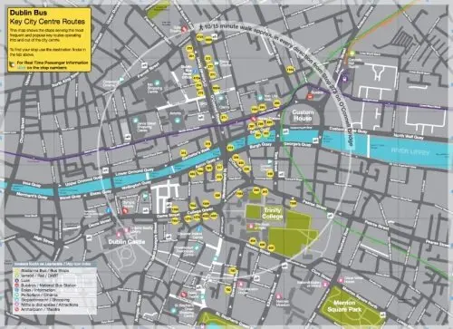 Navigating Dublin with Paws: A Comprehensive Guide to Public Transit Pet Policies