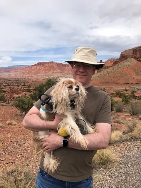 Navigating the New Normal of Pet Travel: Dog Jaunt Returns to Foster Community Amid Global Uncertainty
