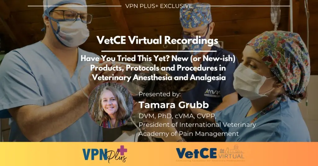 Optimizing Post-Operative Veterinary Care: The Critical Role of Early Nutritional Interventions and Multimodal Pain Management