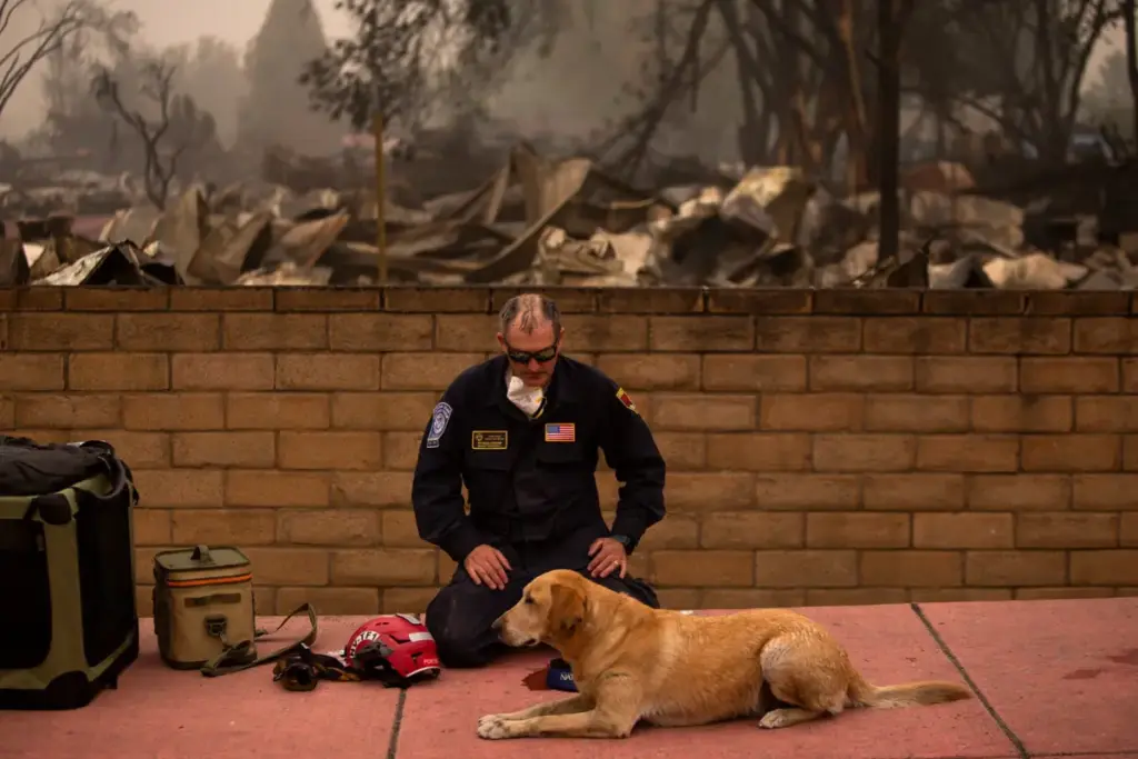 Protecting Your Four-Legged Family Members: Navigating the Hidden Dangers of Wildfire Smoke and Poor Air Quality