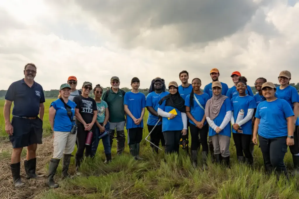 Revitalizing Crab Meadow Marsh: A Milestone Summer of Science, Stewardship, and Ecological Renewal