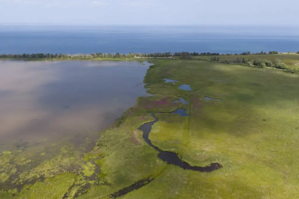 Reviving the Heart of the St. Louis River Estuary: Inside the Multi-Agency Restoration of Allouez Bay