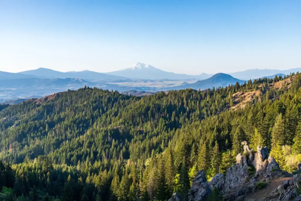 Safeguarding America’s Sanctuaries: The Ecological, Economic, and Cultural Imperative of National Monuments