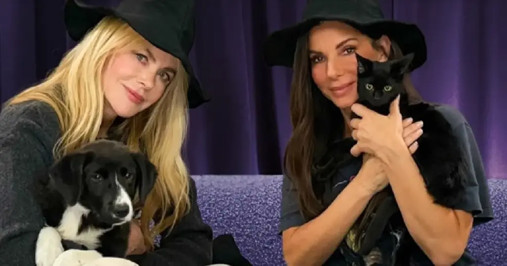 Sandra Bullock and Nicole Kidman Fall for Adoptable Pets and Make One Request