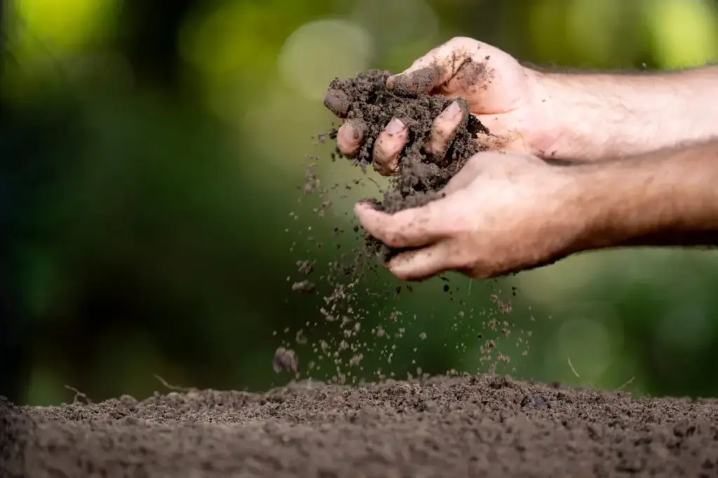 Shifting the Burden: Why Asia’s Agricultural Biologicals Sector Must Move Beyond Efficacy and Master "Deployment Readiness"