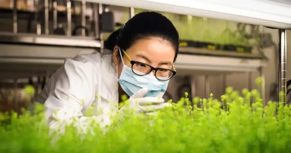 Syngenta Group’s Strategic Pivot: Prioritizing High-Margin Innovation, Biologicals, and AI Over Volume in First-Half 2026 Results