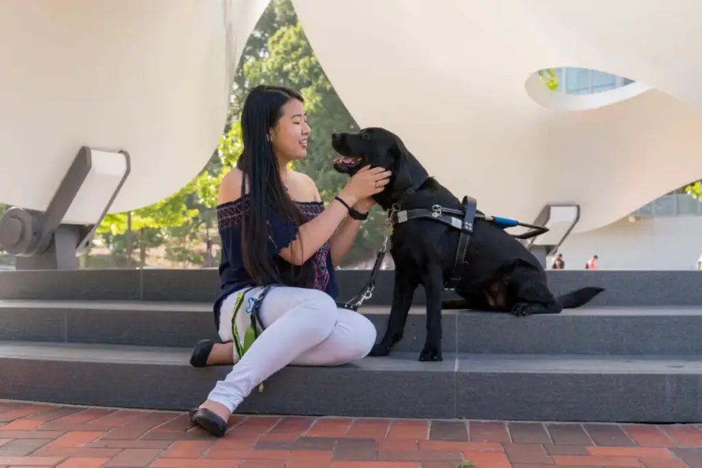 The Anatomy of Trust: How Intelligent Disobedience Powers the Ultimate Guide Dog Partnership