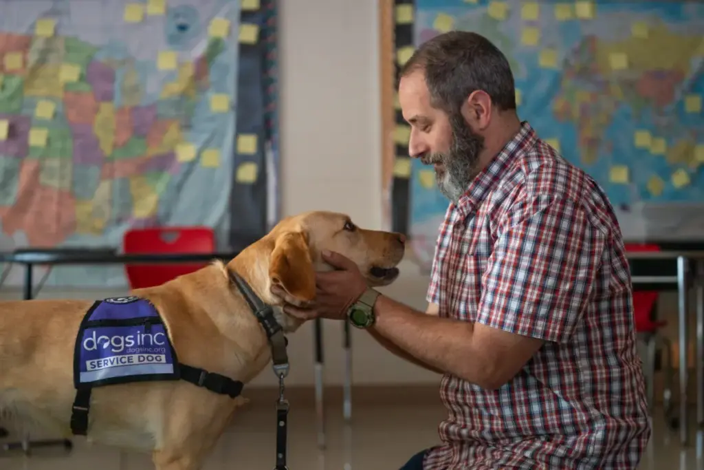 The Architecture of Attention: Inside the Rigorous World of Service Dog Focus Training