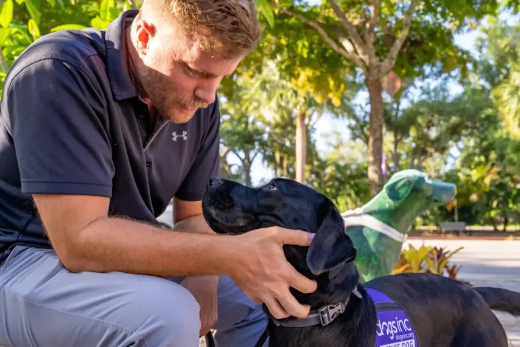 The Crucible of Compassion: An Investigative Look at the Realities, Challenges, and Rewards of Raising a Future Service Dog