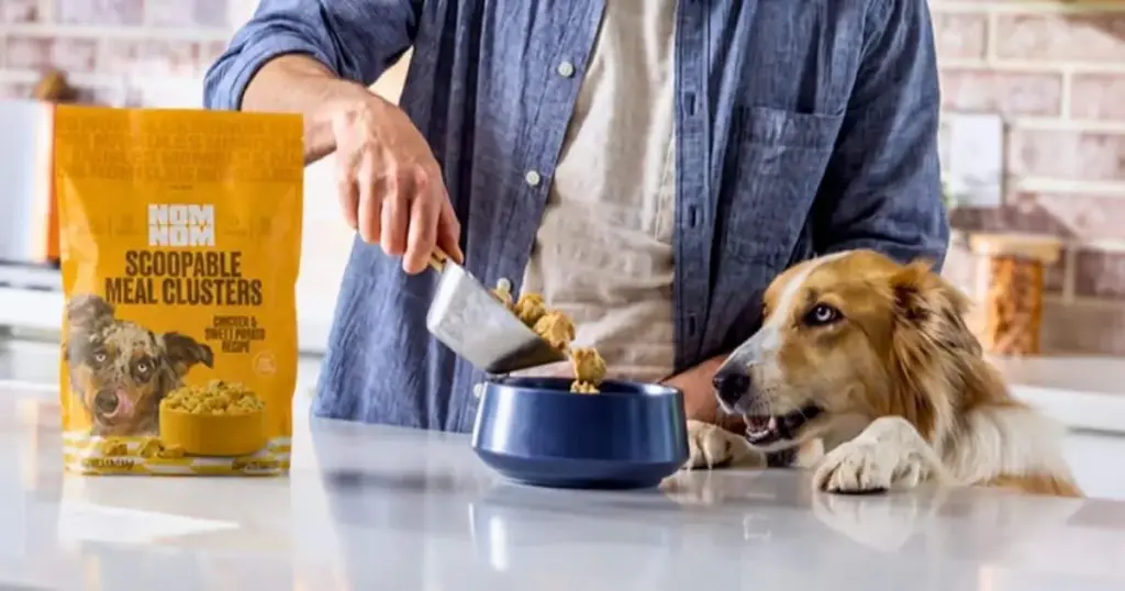 The Fresh-Frozen Frontier: How Nom Nom’s "Scoopable Meal Clusters" Signal a New Era of Retail Convenience in Premium Pet Nutrition
