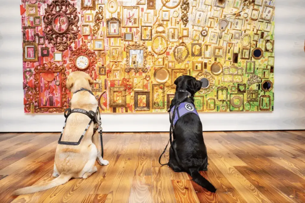 The Gold Standard of Canine Assistance: Why Labrador Retrievers Dominate Guide and Service Dog Programs