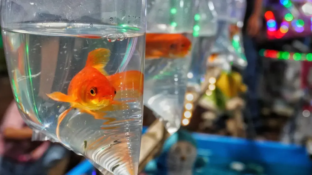The Goldfish Crisis: How Innocent Aquarium Pets Are Triggering Ecological Collapses in Freshwater Ecosystems