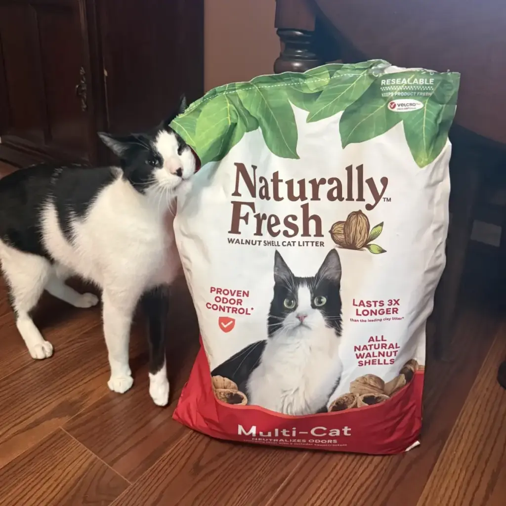 The Multi-Cat Litter Chronicles: Putting Upcycled Walnut Shells to the Ultimate Home Test