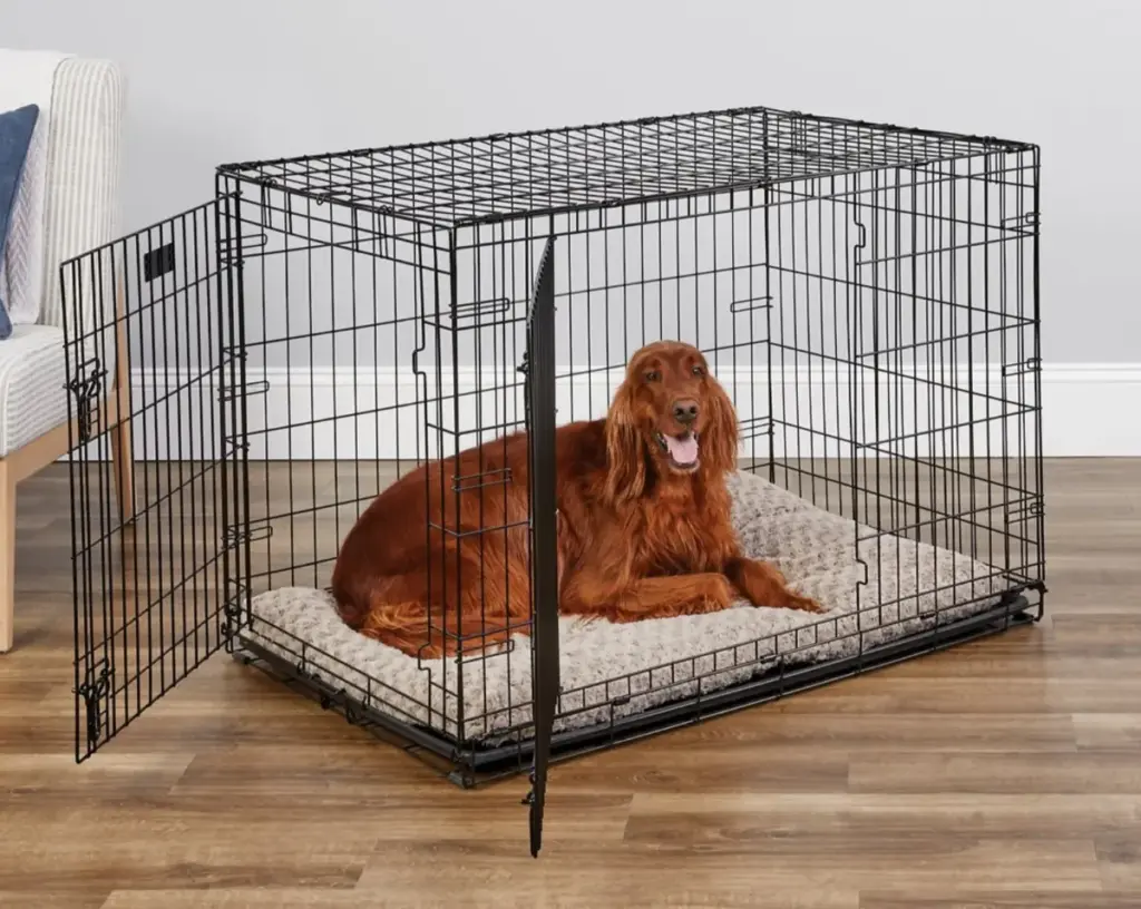 The Science of Canine Decompression: An Investigative Guide to Integrating Rescue Dogs