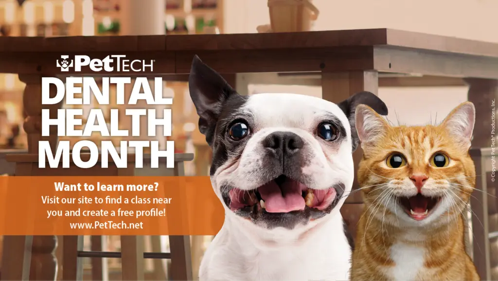 The Silent Epidemic: Why Pet Dental Health Month is a Crucial Call to Action for Modern Pet Parents